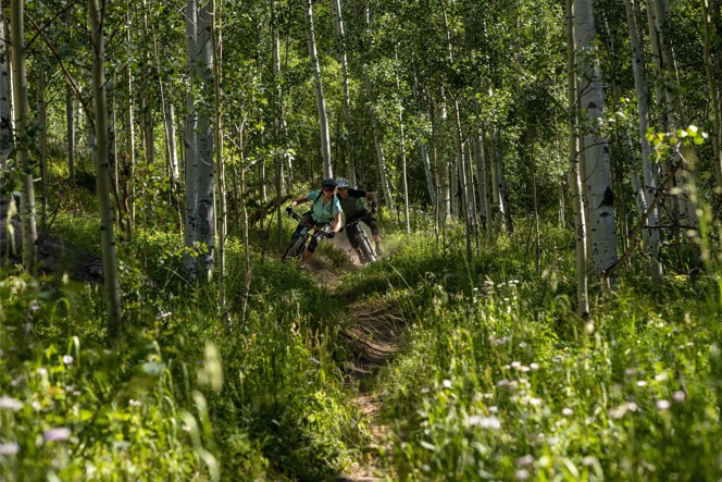 Two bikers speeding through a forest trail.